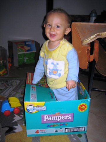 2009 454